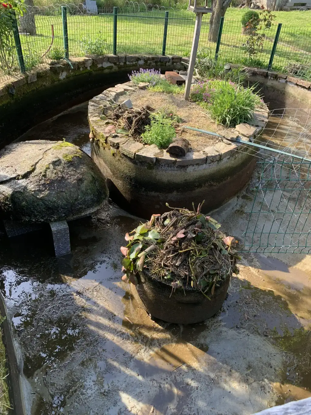 Nettoyage et pompage de bassin près de Castres